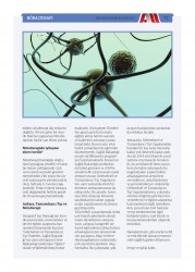 nöral terapi basın resim